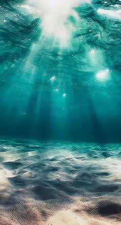 Light rays under the ocean surface